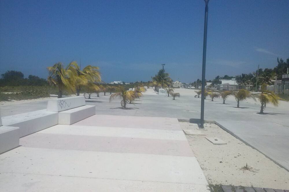 Photo of Others in Yucatan Peninsula