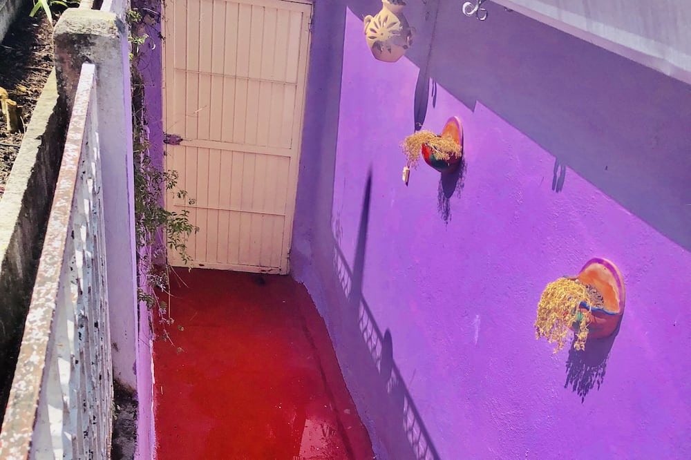Photo of Others in De Guadalupe