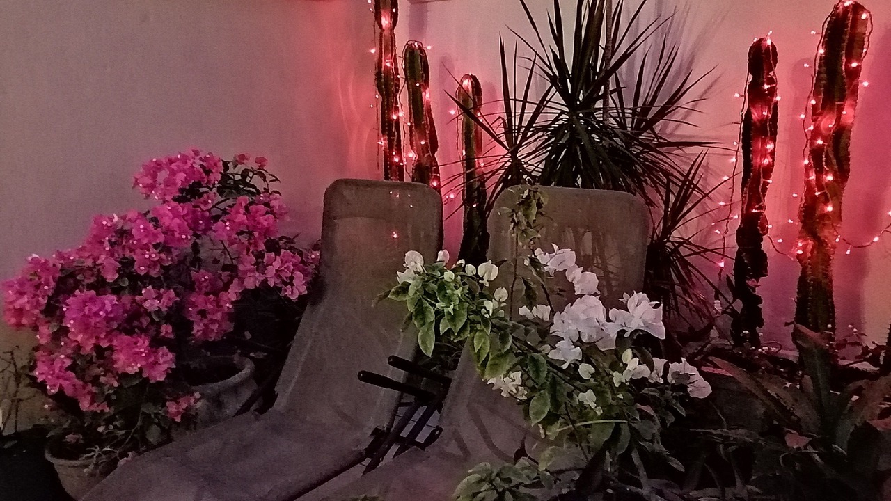Photo of Outdoor in Zona Paseo Montejo