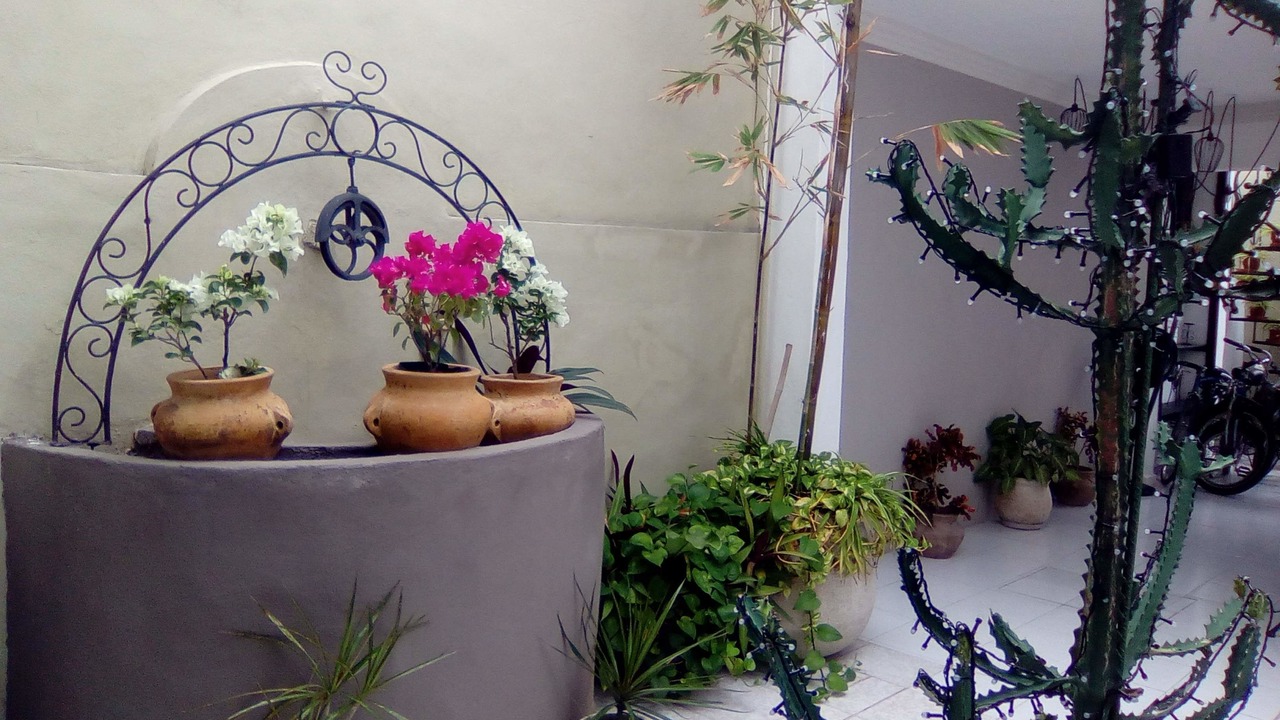 Photo of Outdoor in Zona Paseo Montejo