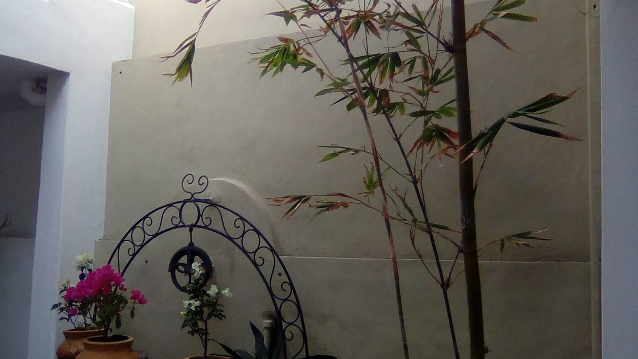 Photo of Outdoor in Zona Paseo Montejo