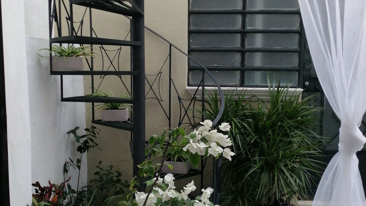 Photo of Patio Balcony in Zona Paseo Montejo