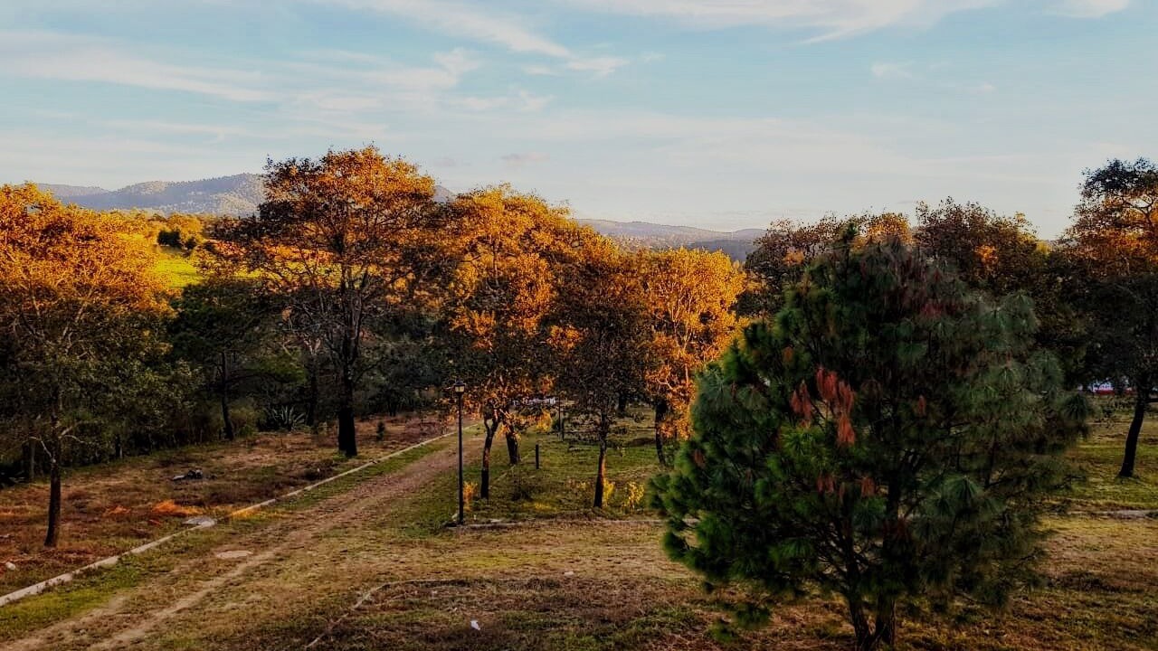 Photo of Outdoor in Mazamitla