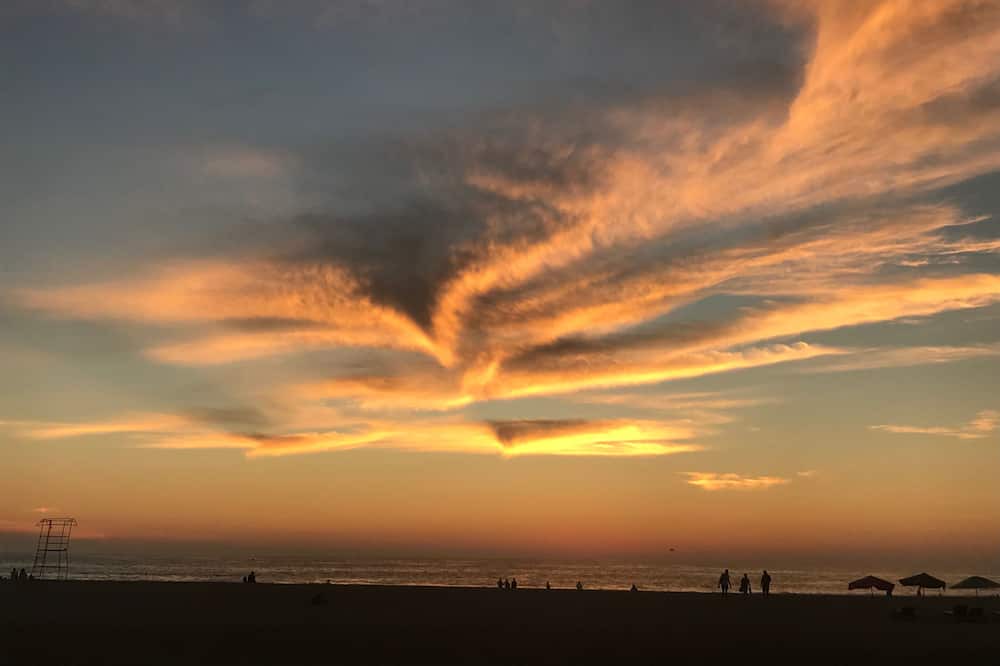 Photo of Others in Los Tamarindos