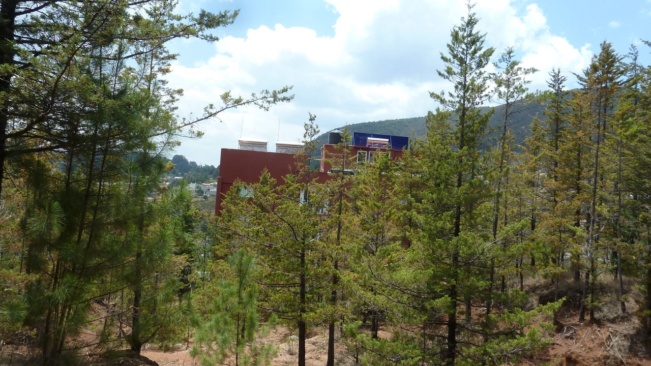 Photo of Outdoor in El Oro