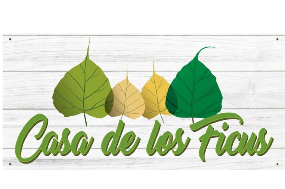 Photo of Others in Xalapa