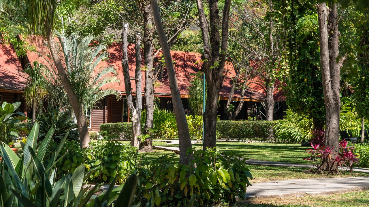 Photo of Outdoor in La Laguna