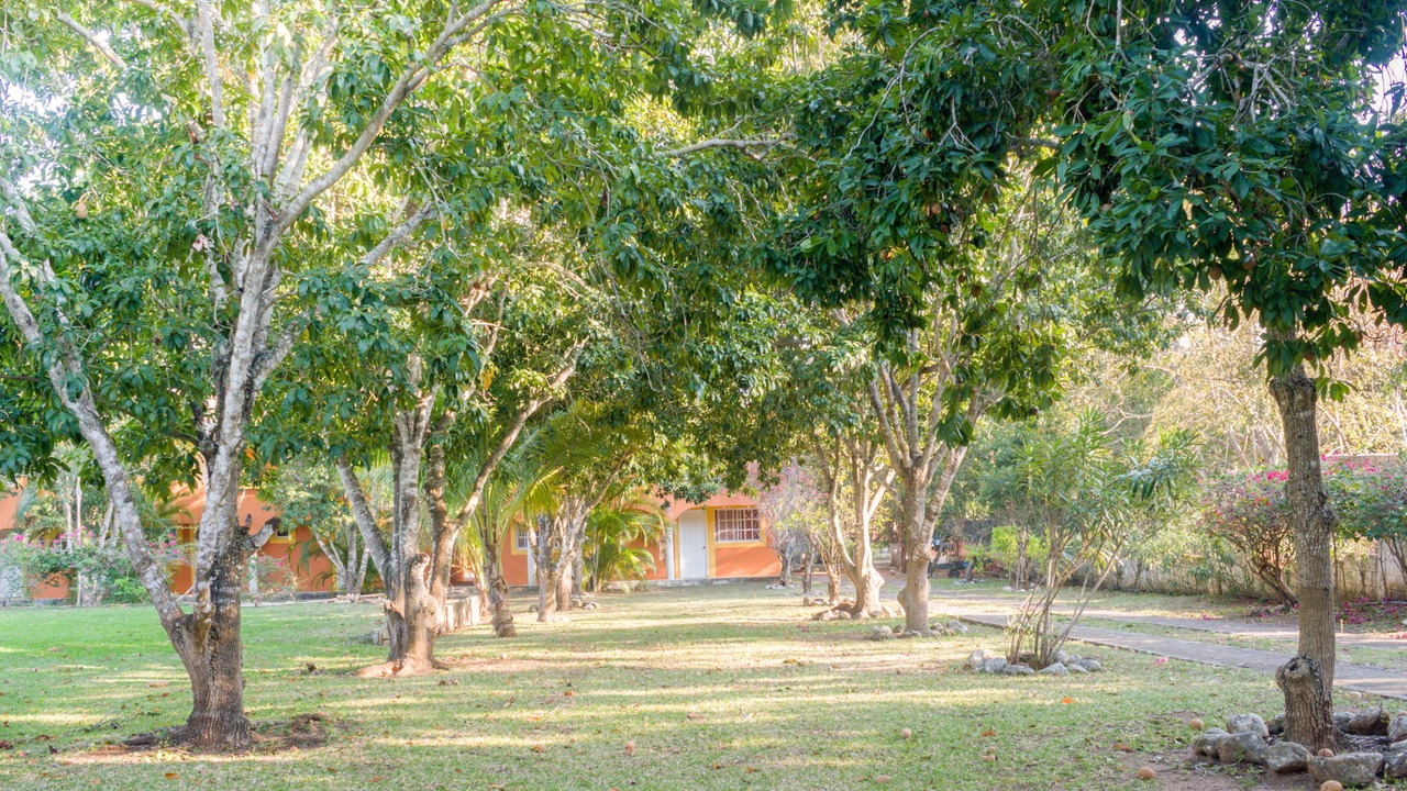 Photo of Outdoor in Actopan