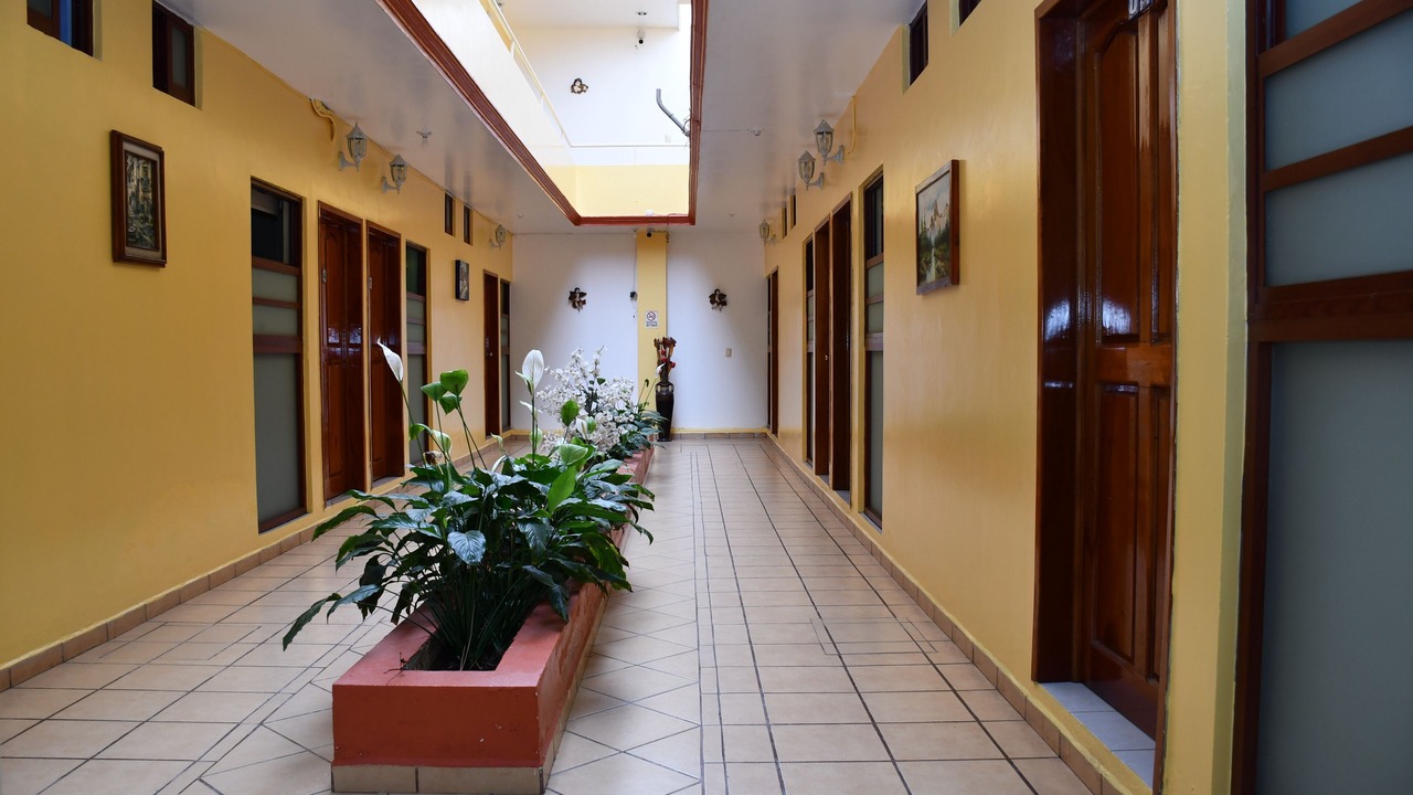 Photo of Outdoor in Martinez de La Torre