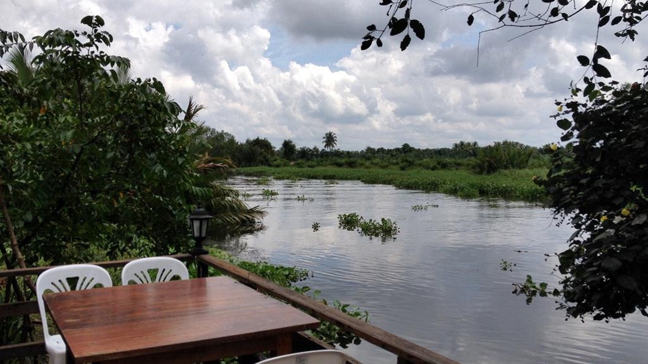 Photo of Others in Surat Thani