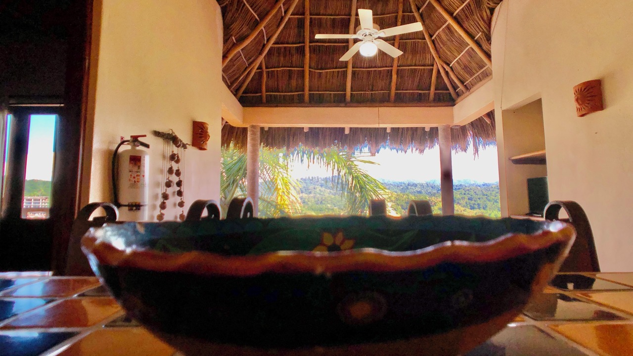 Photo of Others in Sayulita
