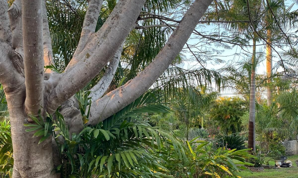 Photo of Outdoor in Hocaba