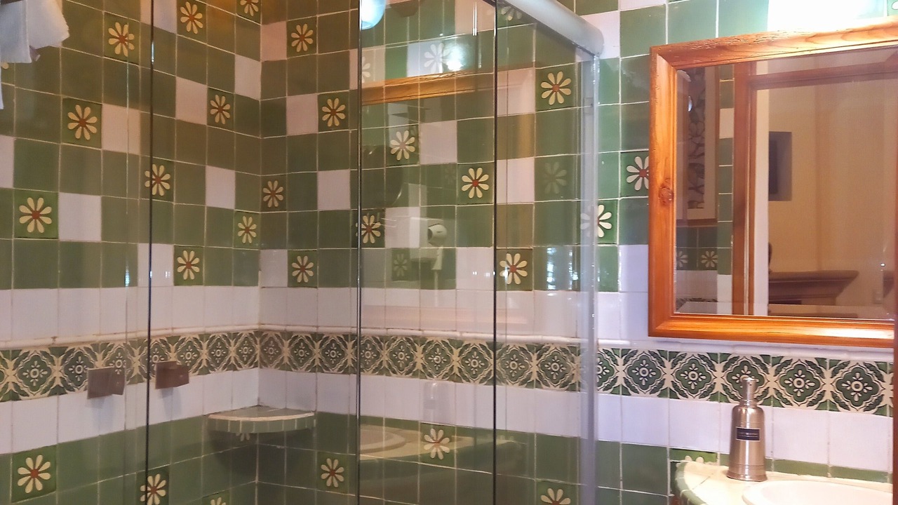 Photo of Bathroom in Centro