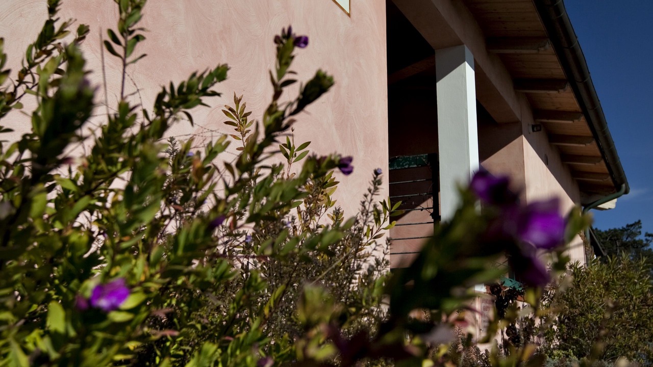 Photo of Outdoor in Follonica