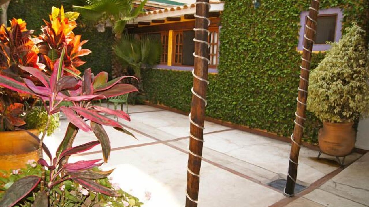 Photo of Patio Balcony in Reforma