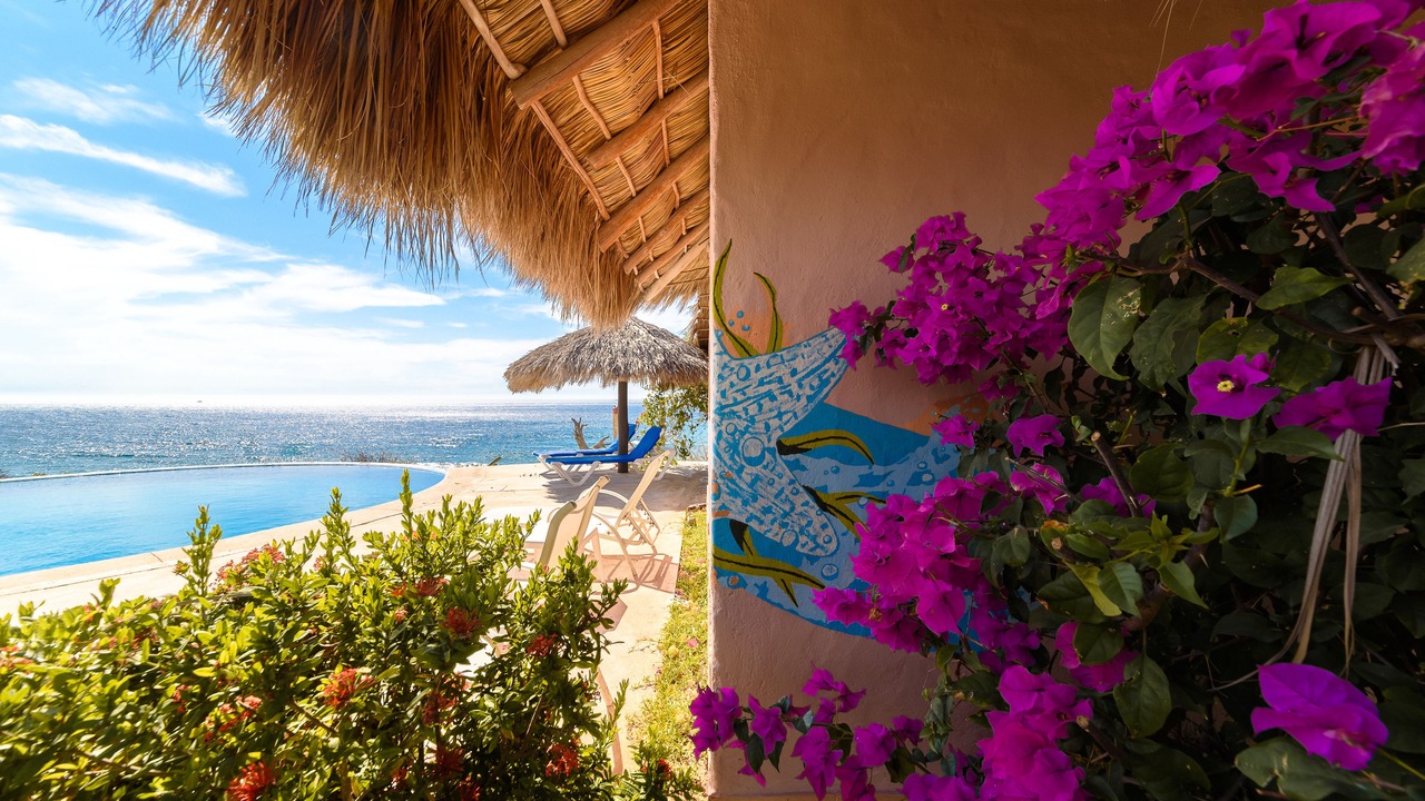 Photo of Outdoor in Villa del Mar