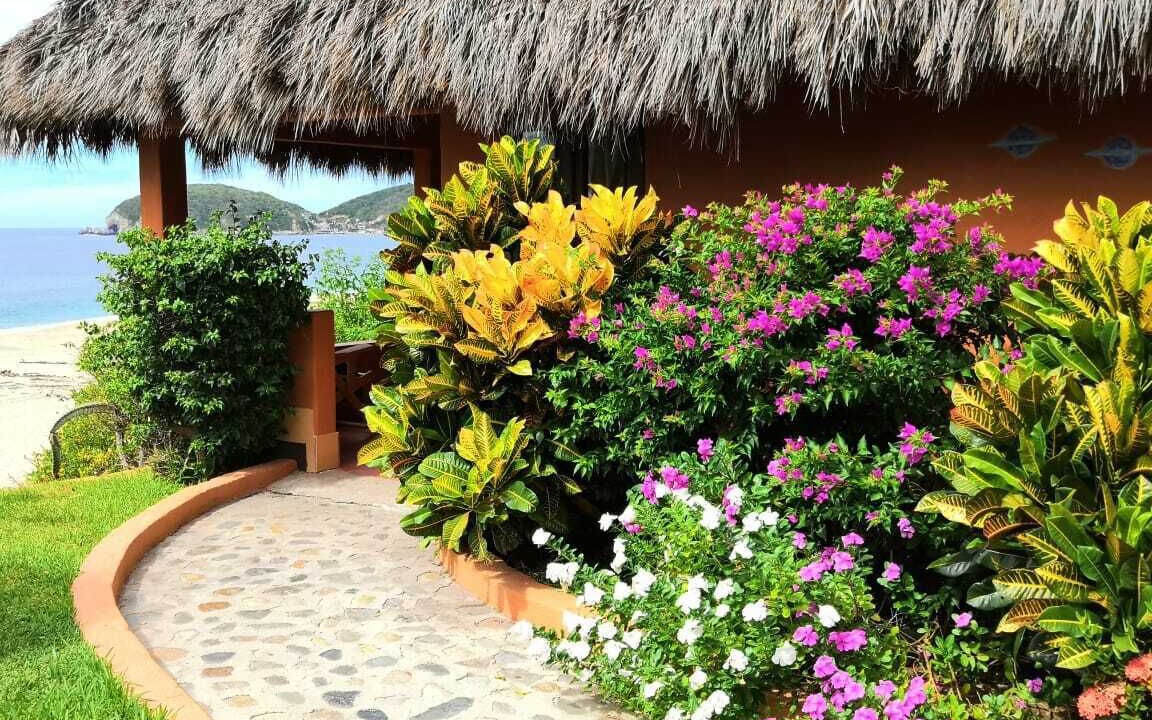 Photo of Outdoor in Villa del Mar