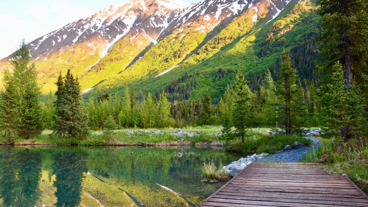 Photo of Others in Moose Pass