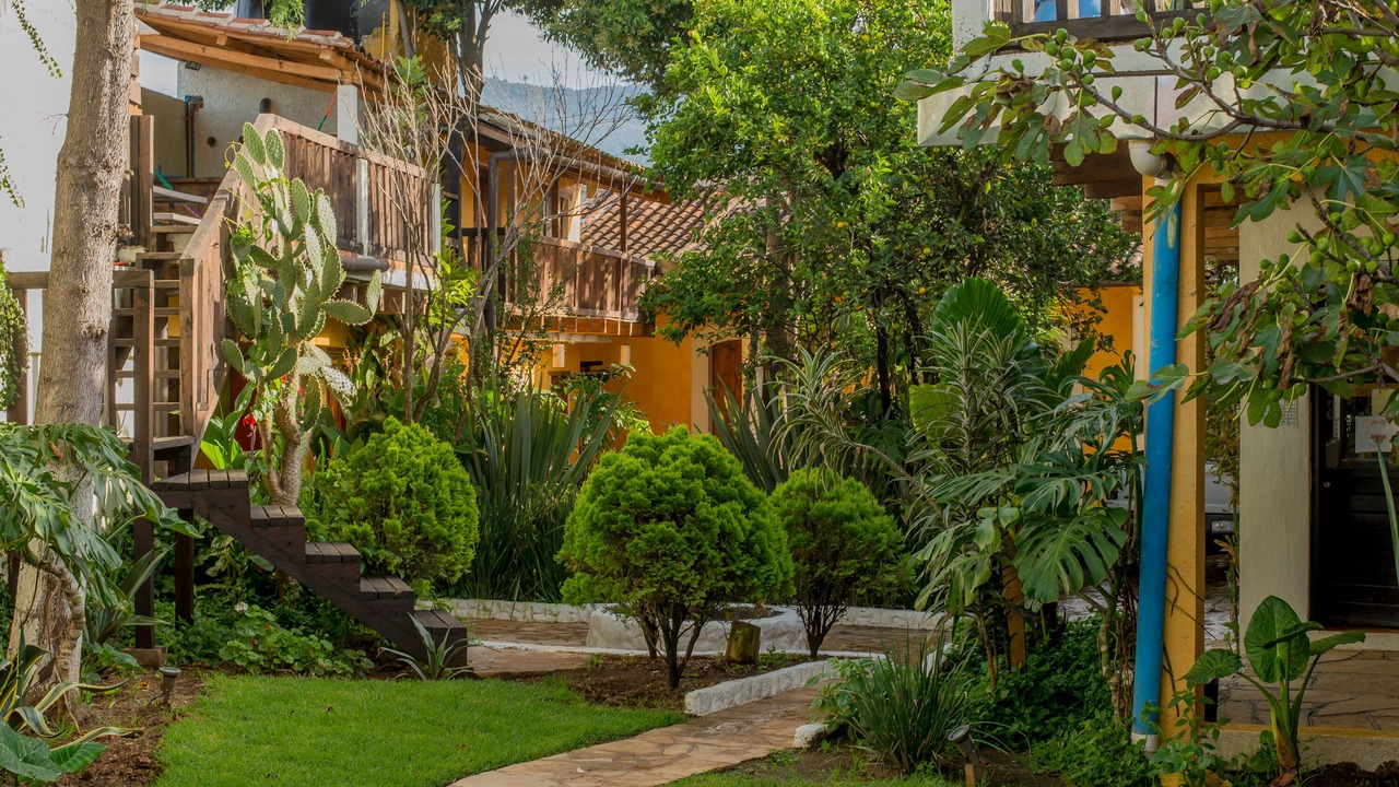 Photo of Outdoor in De Mexicanos