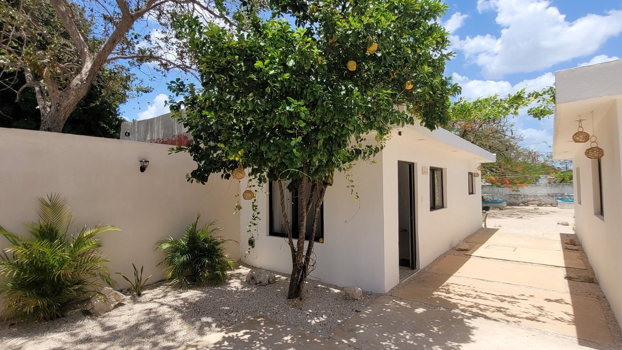 Photo of Outdoor in Centro