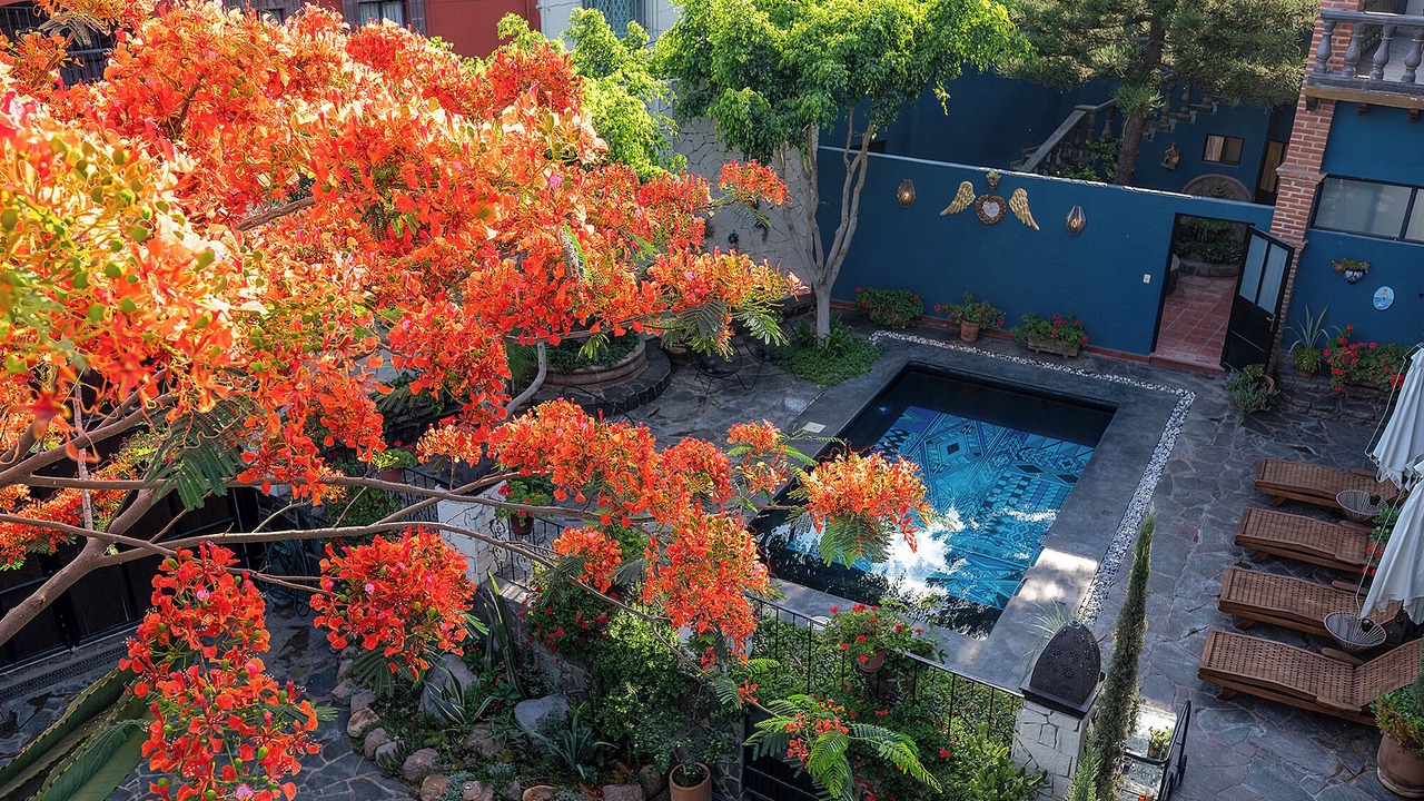 Photo of Outdoor in Colonia San Raphael