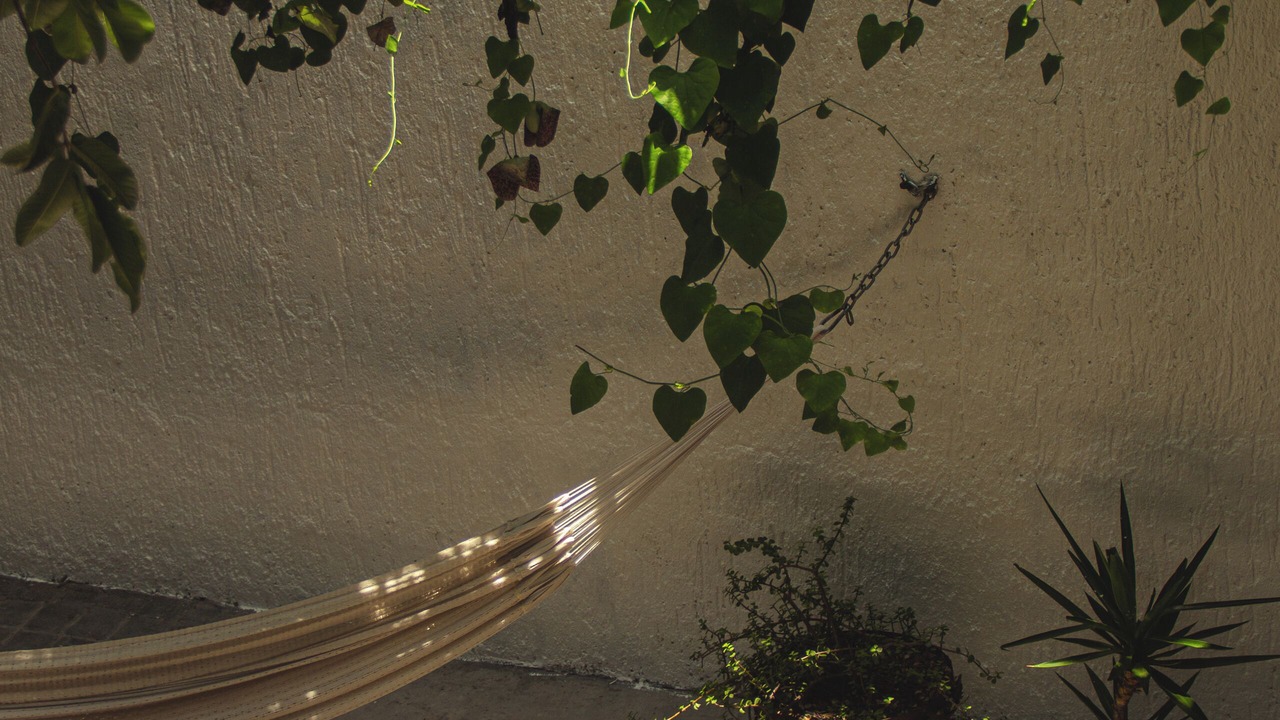 Photo of Patio Balcony in Centro