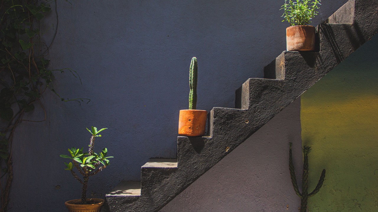 Photo of Patio Balcony in Centro