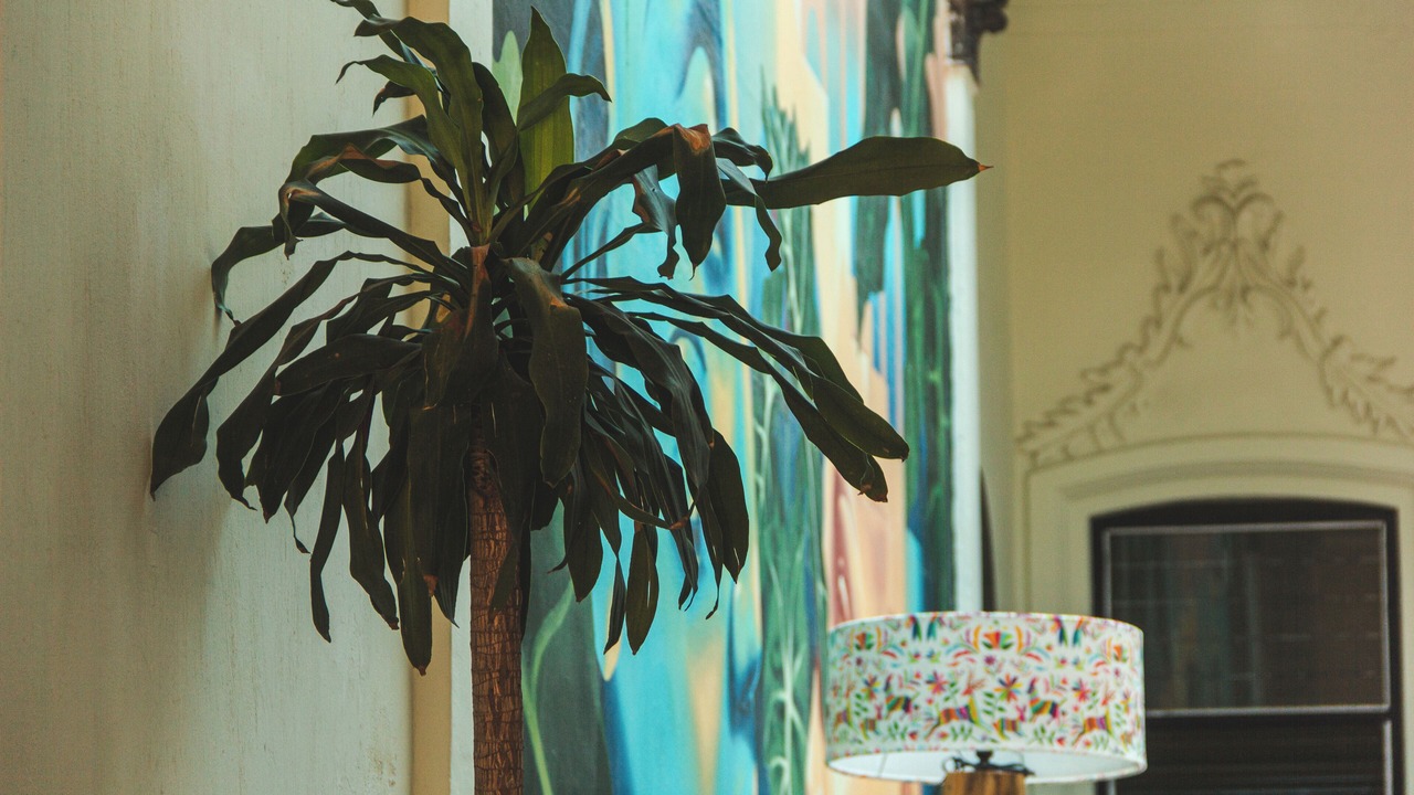 Photo of Livingroom in Centro