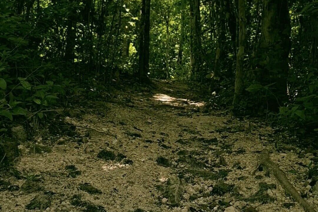 Photo of Outdoor in Xpujil