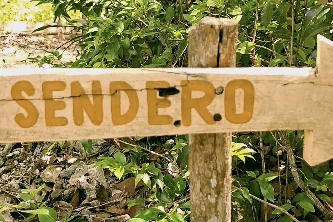 Photo of Outdoor in Xpujil