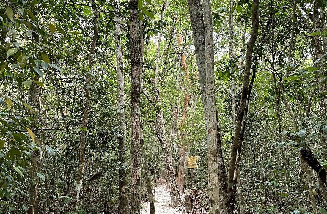 Photo of Outdoor in Xpujil