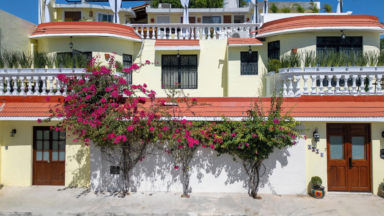 Photo of Outdoor in Centro