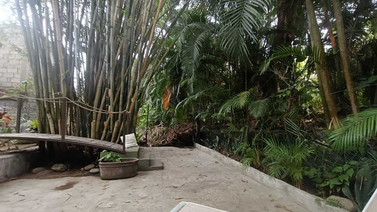 Photo of Outdoor in Sayulita
