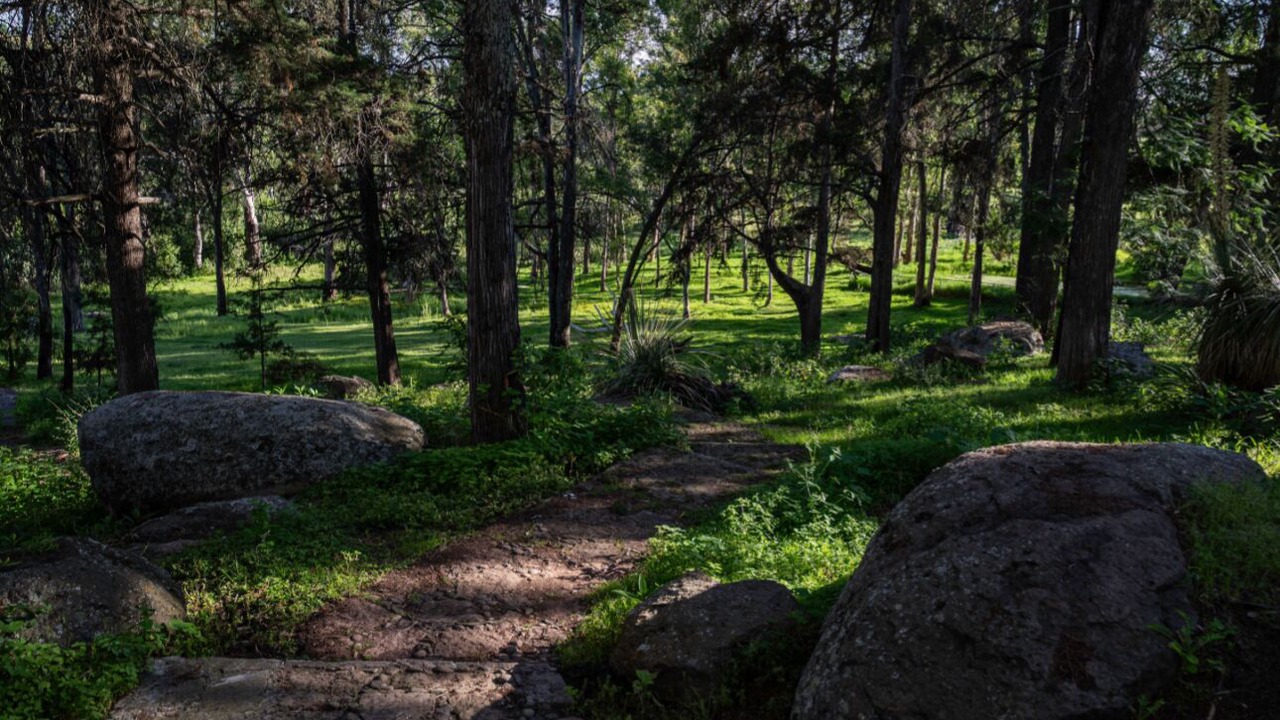 Photo of Outdoor in Zona Centro