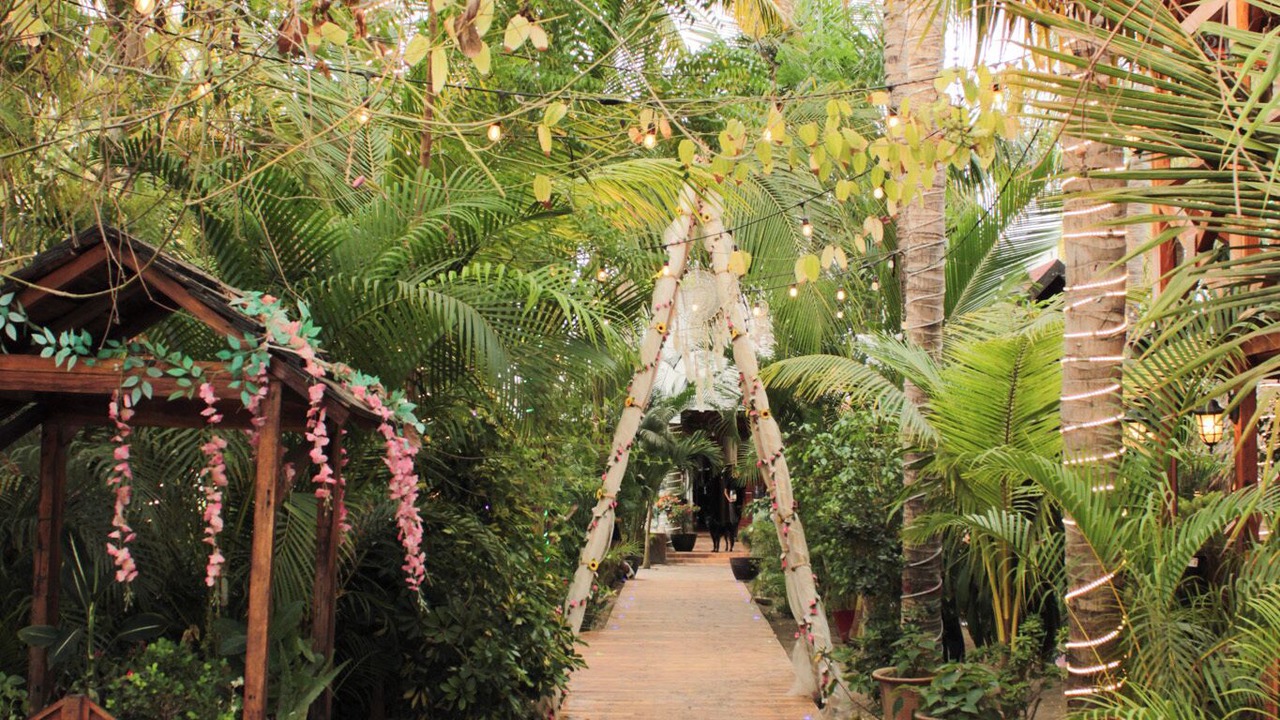 Photo of Outdoor in Aticama