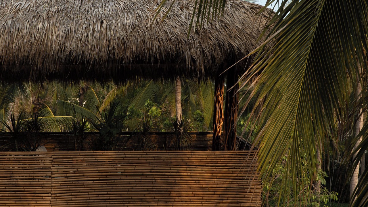 Photo of Outdoor in Los Tamarindos