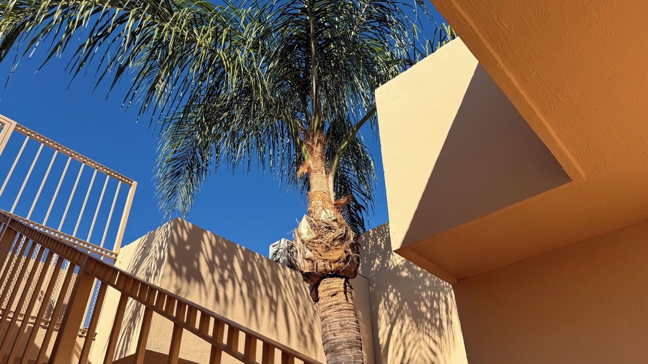 Photo of Outdoor in Tequila