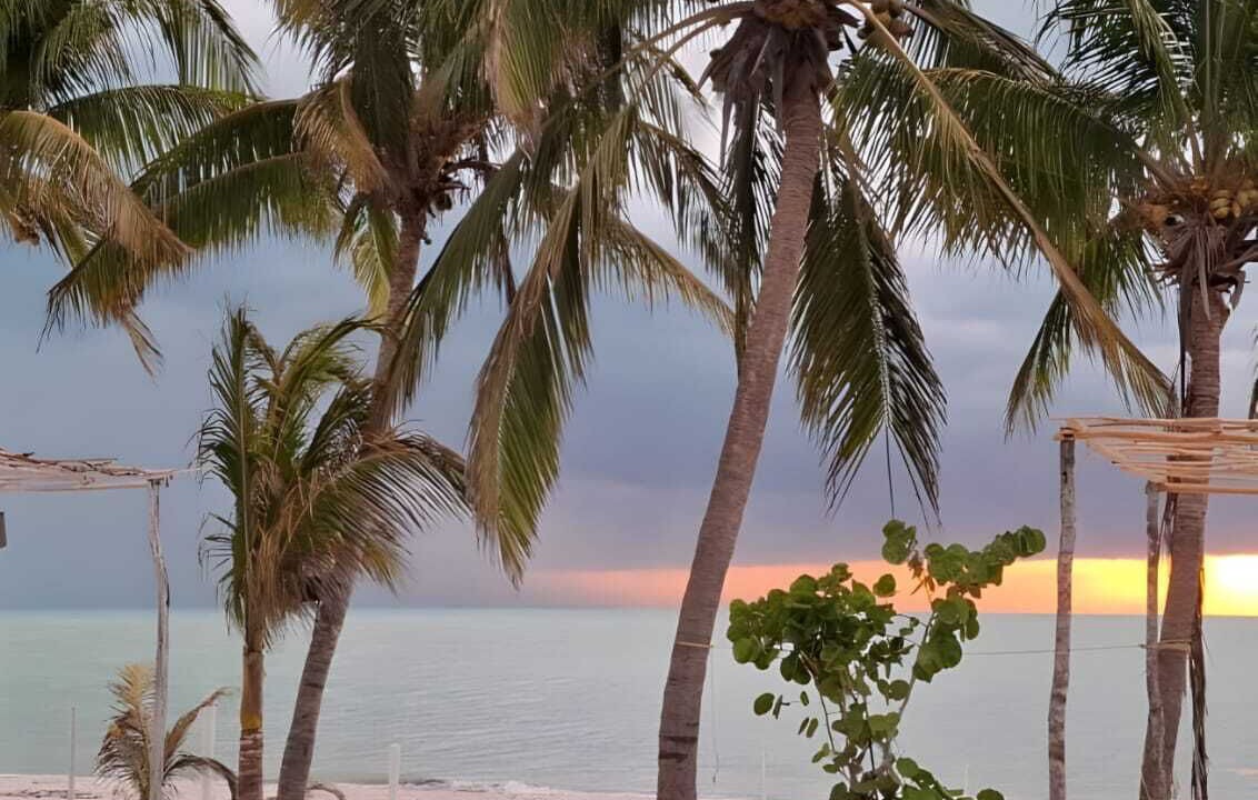 Photo of Outdoor in Celestun