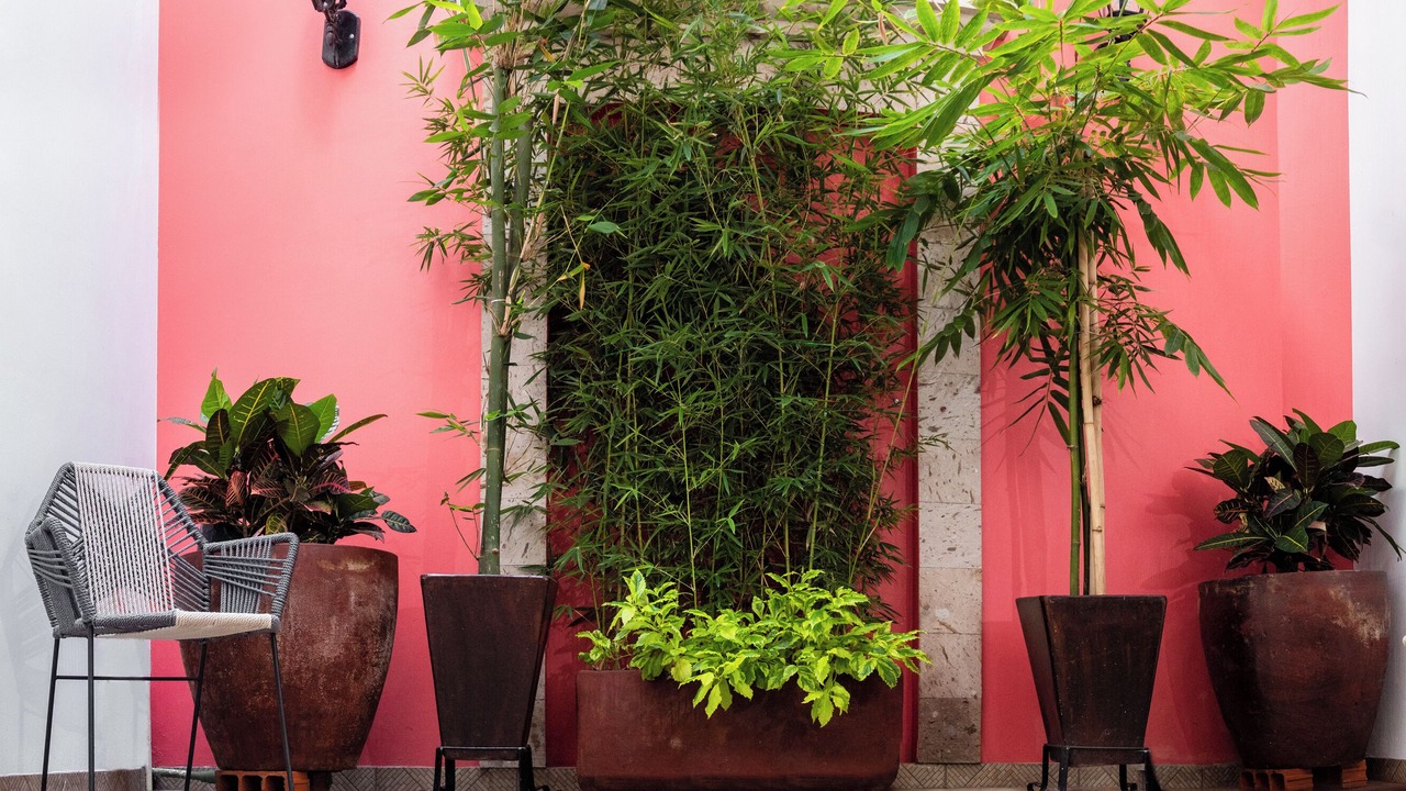 Photo of Patio Balcony in Tequila