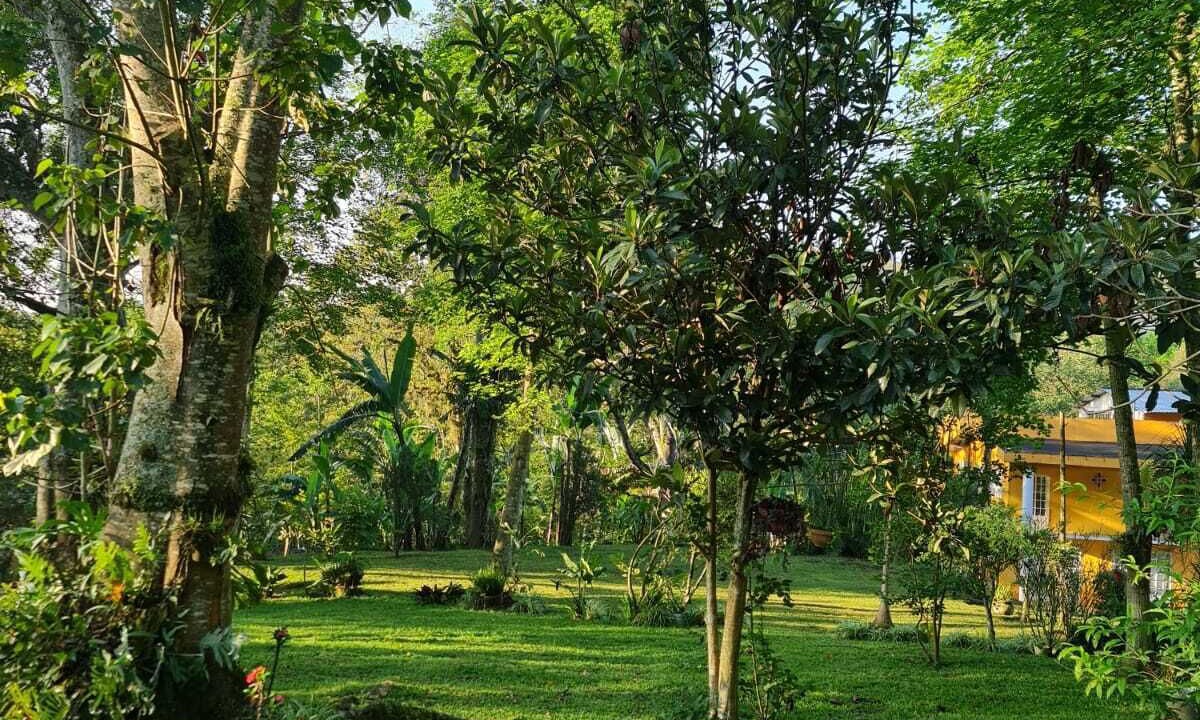 Photo of Outdoor in Xico