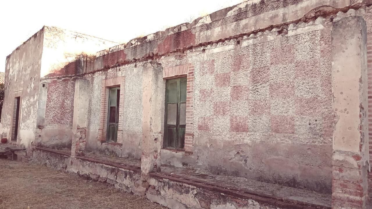 Photo of Outdoor in Hidalgo