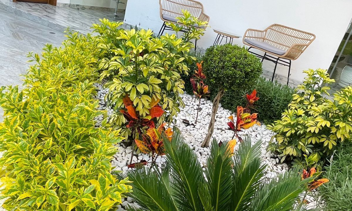Photo of Outdoor in Tequisquiapan