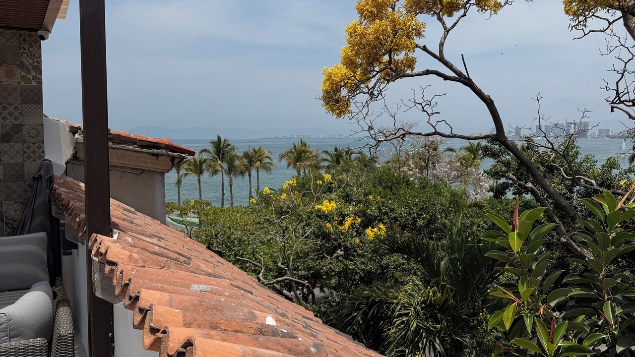 Photo of Others in Downtown Puerto Vallarta