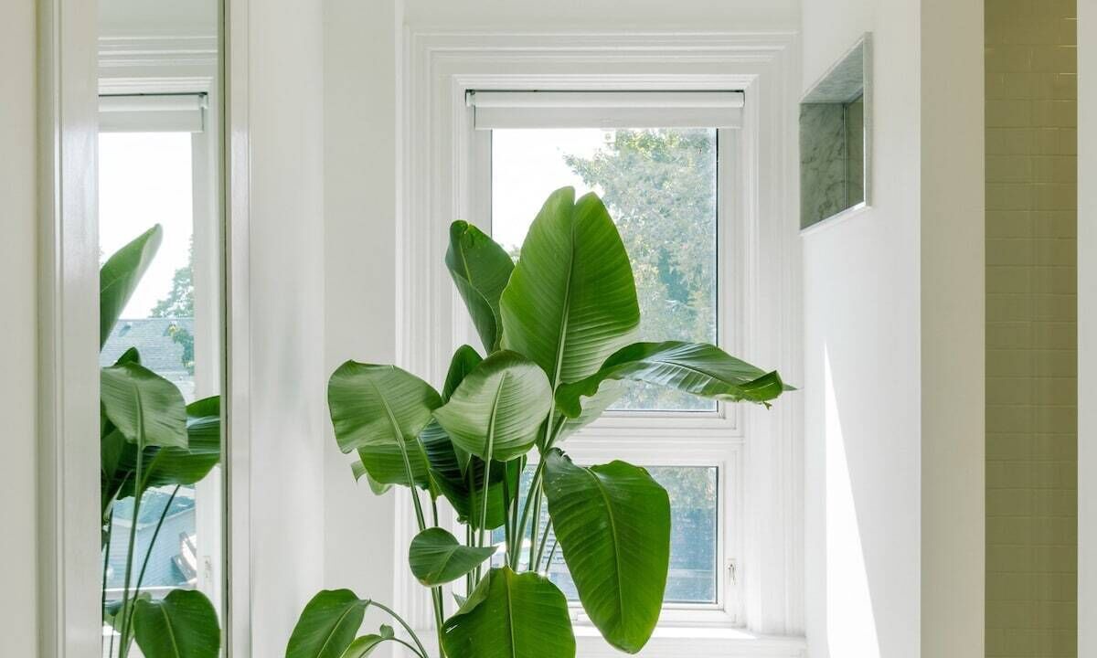 Photo of Bathroom in Wellington