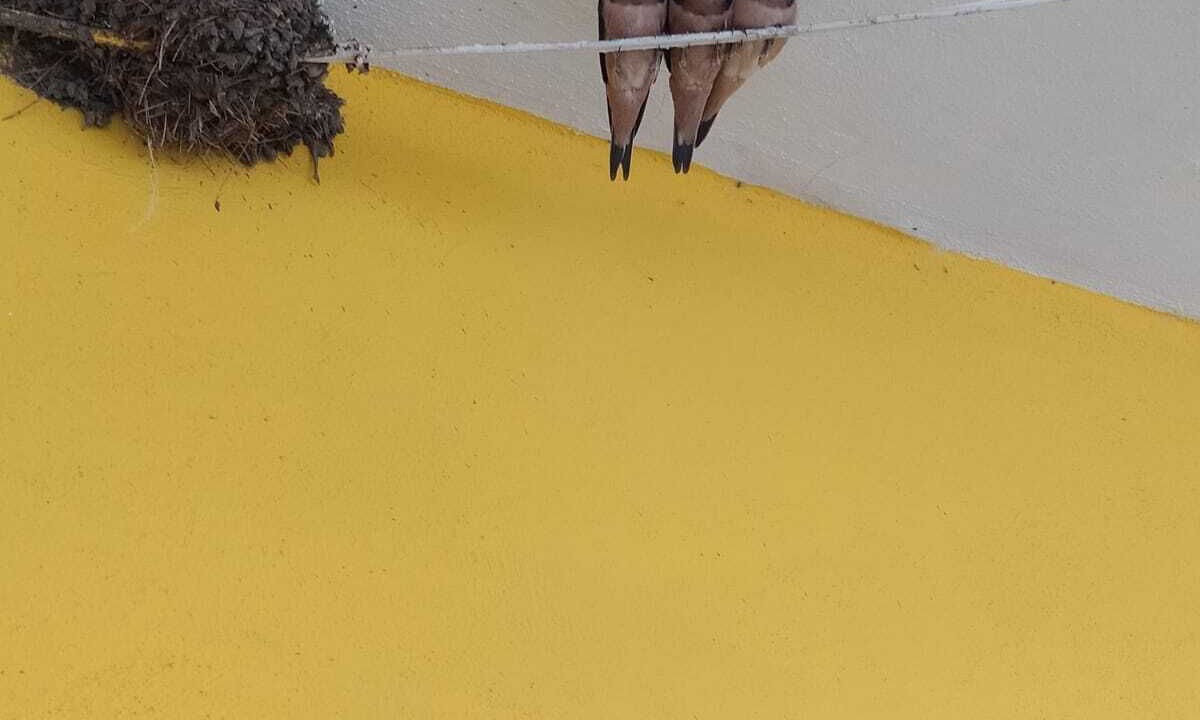 Photo of Outdoor in San Juan del Rio