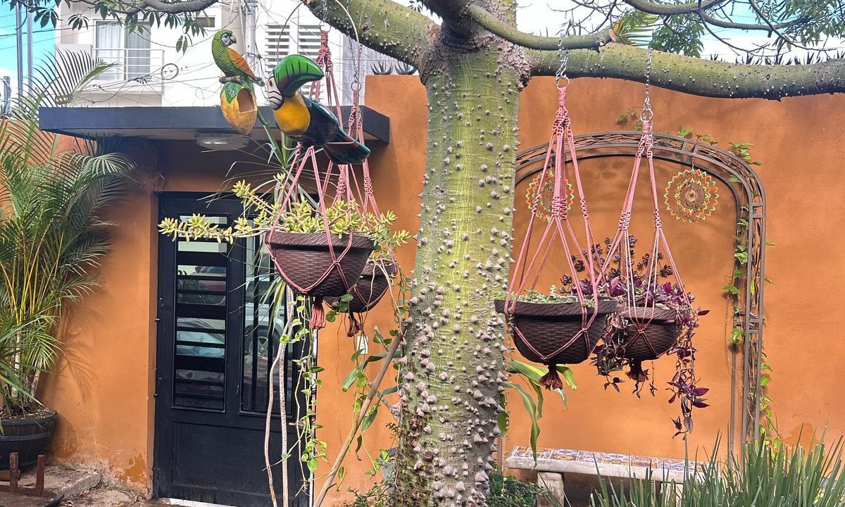 Photo of Outdoor in Tepic