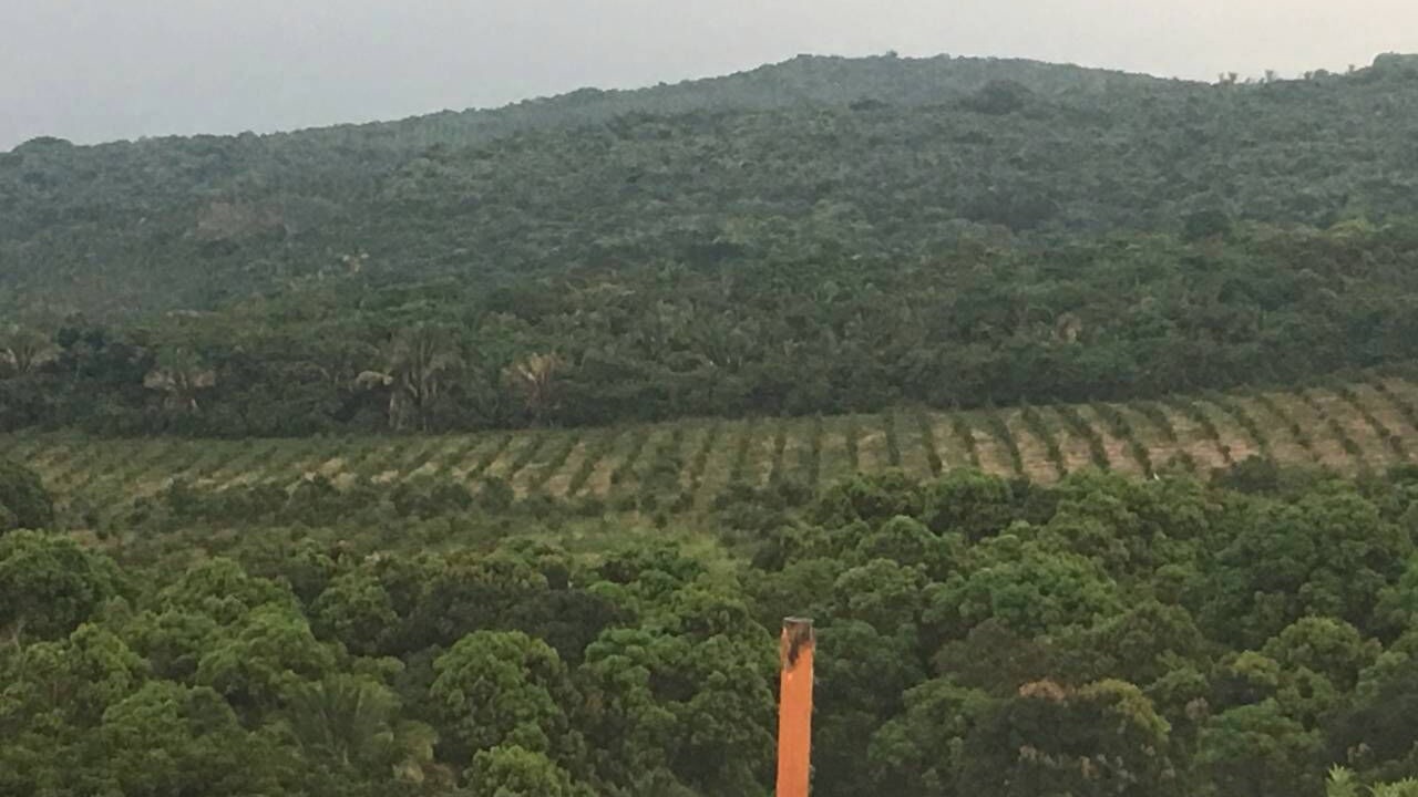 Photo of Outdoor in Chacala