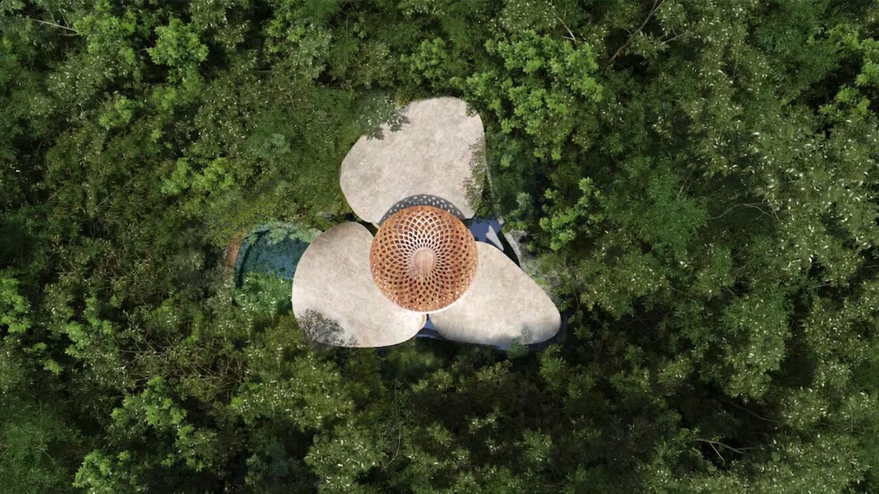 Photo of Outdoor in Yucatan Peninsula