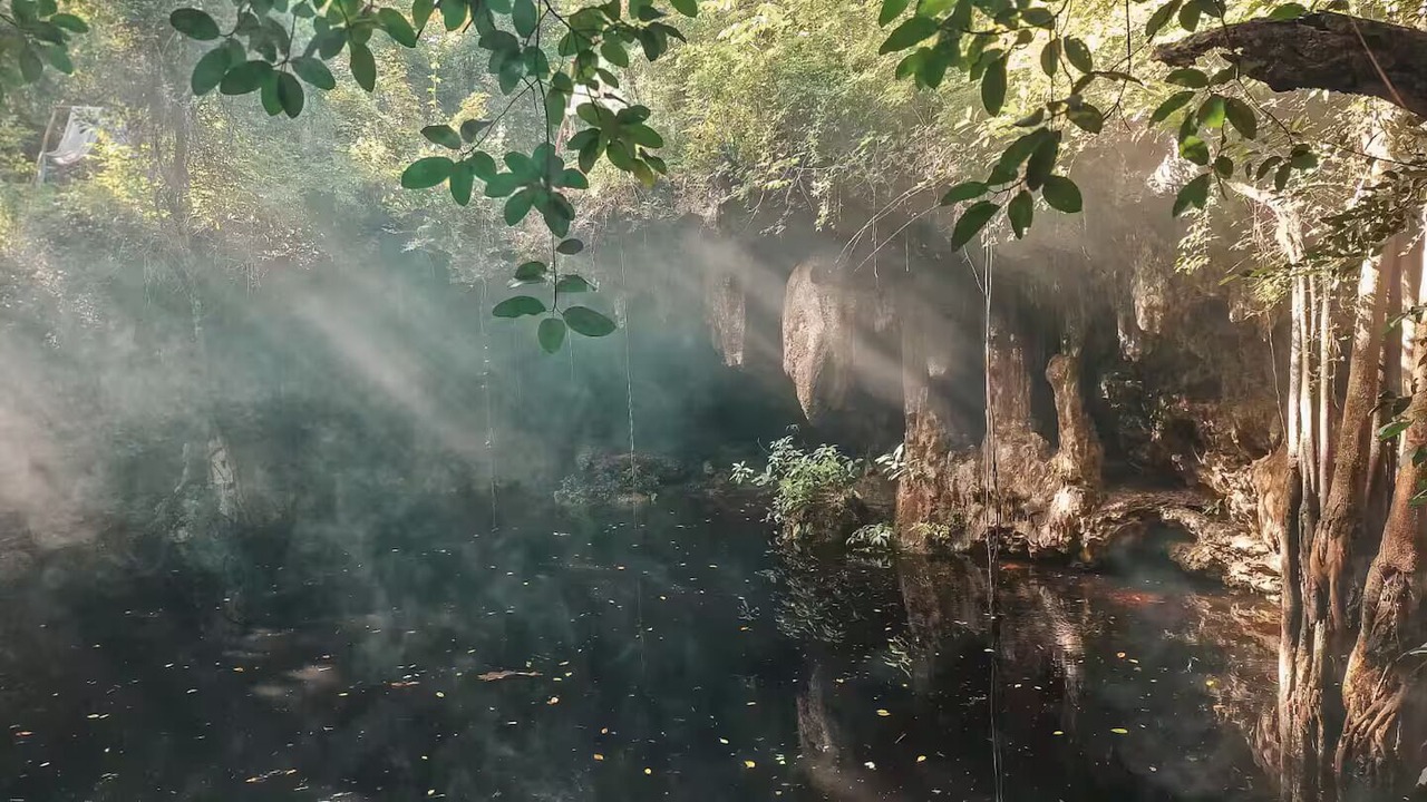 Photo of Others in Yucatan Peninsula
