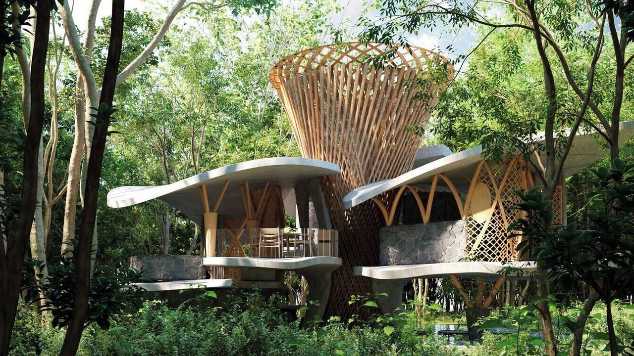 Photo of Outdoor in Yucatan Peninsula